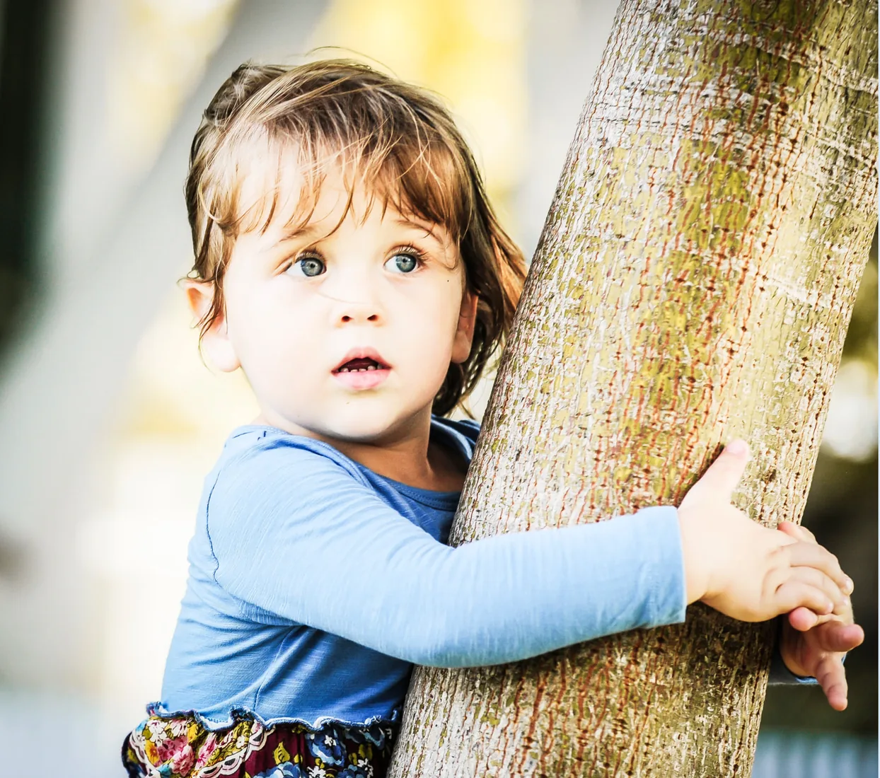 Toddler girl in a blue top hugging a sunlit palm tree in Grand Cayman