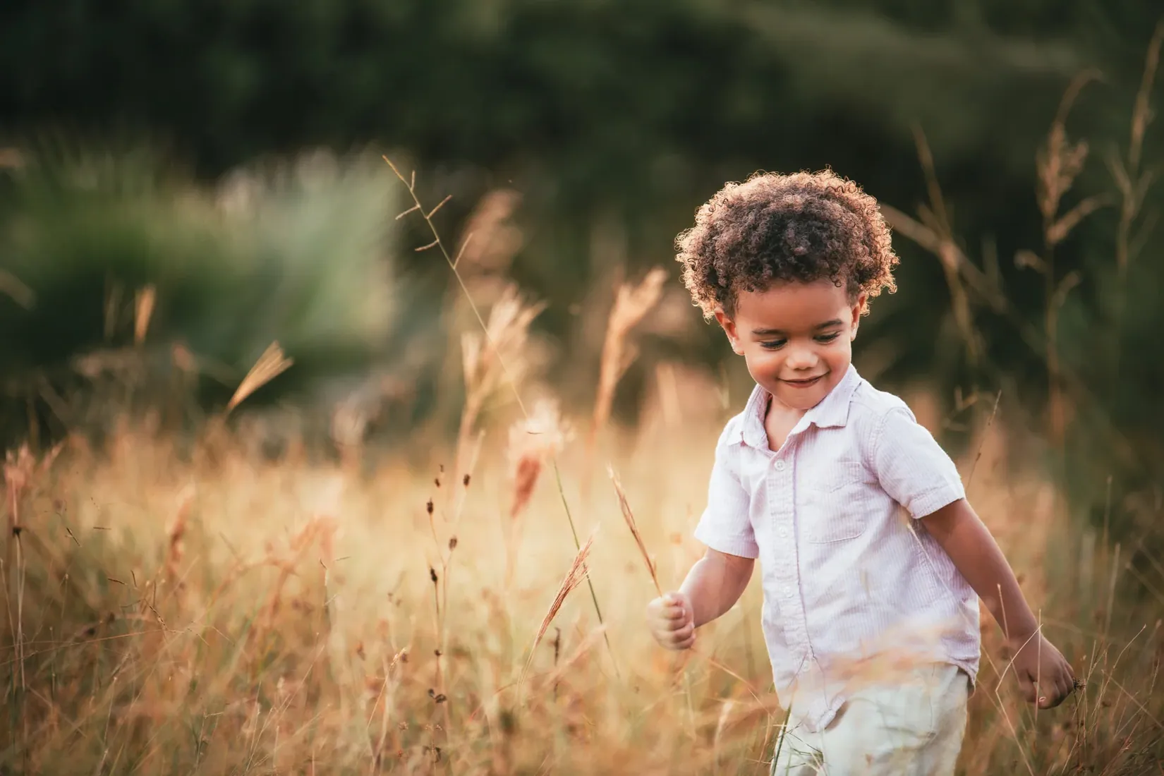 Young boy walking through golden grass in Grand Cayman